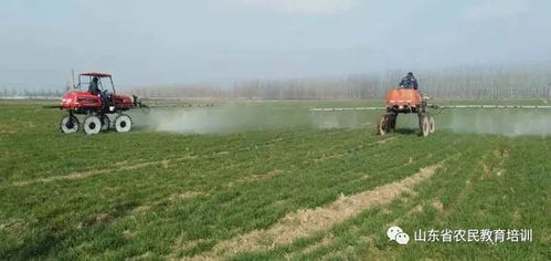 郯城縣春季農業科技服務創新轉型使大招