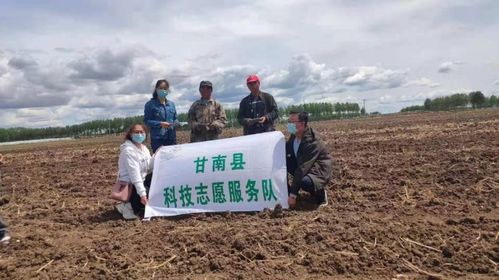 甘南縣人民政府