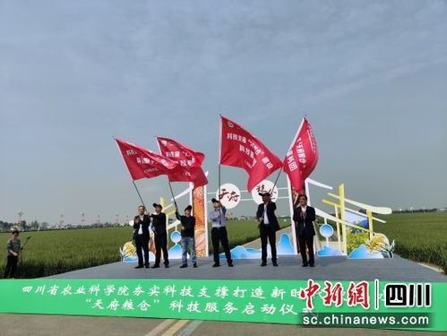 四川 近千名科技人員組團(tuán)助力打造新時代更高水平 天府糧倉