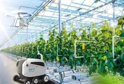 漢中pc陽光板智能溫室大棚新報(bào)價(jià)