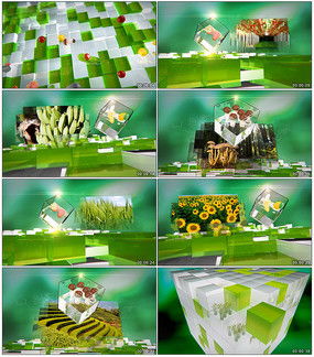 服務(wù)產(chǎn)品圖片 服務(wù)產(chǎn)品設(shè)計(jì)素材 紅動(dòng)中國(guó)