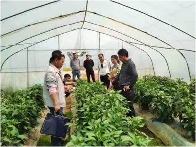 崇仁縣人民政府 工作動(dòng)態(tài) 送科技下鄉(xiāng) 助春耕備耕