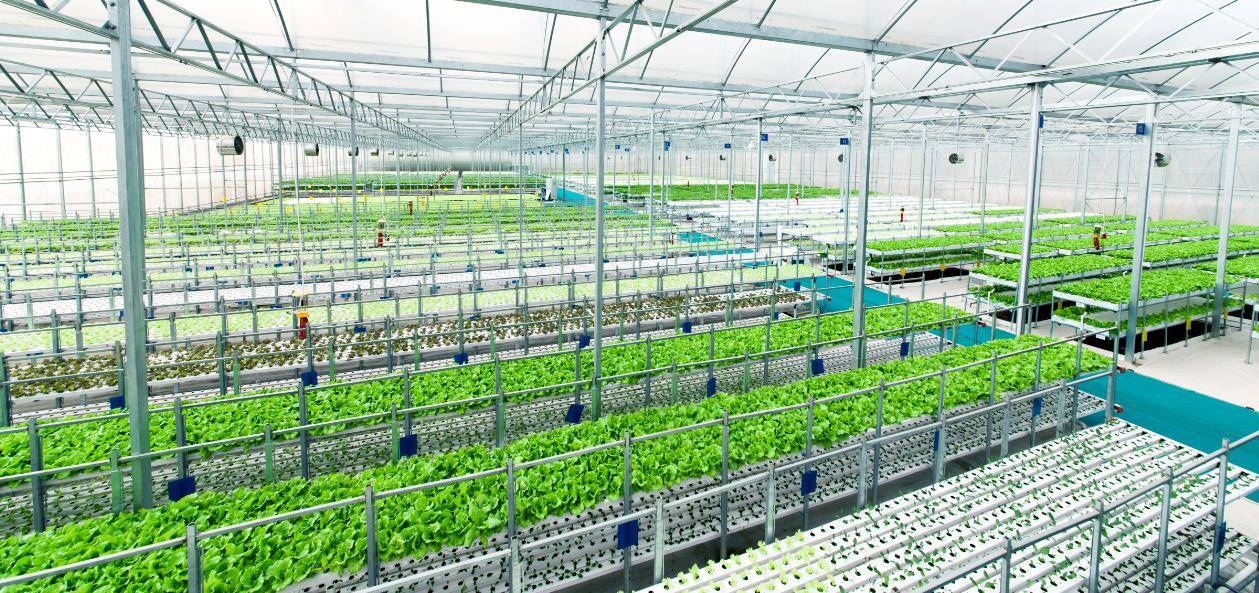 從農(nóng)業(yè)4.0到旅游4.0,春沐源投資200億打造生態(tài)小鎮(zhèn)