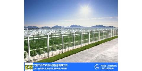 鋼架大棚廠_河北鋼架大棚_億農農業