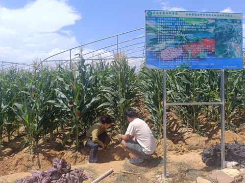 云南省農業科學院官方網站 云南省農科院