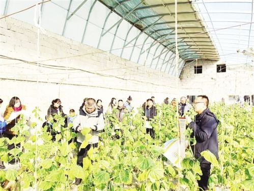 瓜州 農(nóng)業(yè)技術(shù)培訓忙