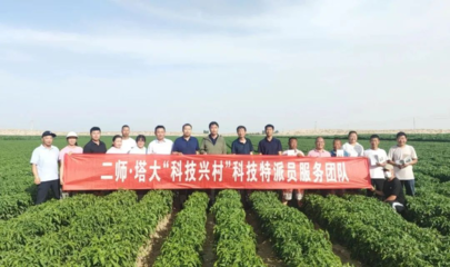 【本地動(dòng)態(tài)】塔里木大學(xué)科技特派員團(tuán)隊(duì)來和碩縣開展科技服務(wù)