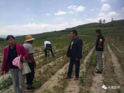 科技助推后山村打贏脫貧攻堅戰(zhàn)