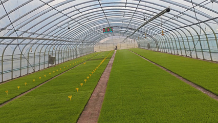 稼穡篤行|前進(jìn)農(nóng)場農(nóng)業(yè)科技服務(wù)中心