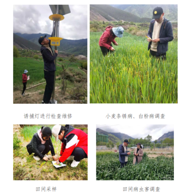 農(nóng)口科技人員春季下基層服務(wù)簡報(bào)