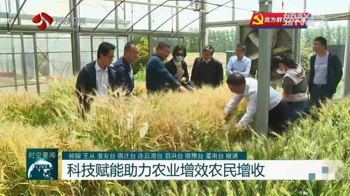 問題不出田 江蘇積極開展農(nóng)業(yè)科技服務(wù)活動(dòng)