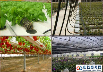 以色列DAGAN(達(dá)岡)農(nóng)業(yè)公司