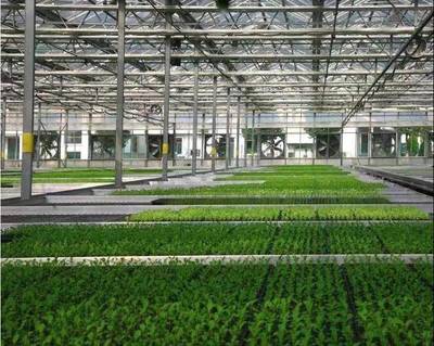 張兵書記調研湘家蕩農業數字化工廠，助力農民豐收節農業科技服務